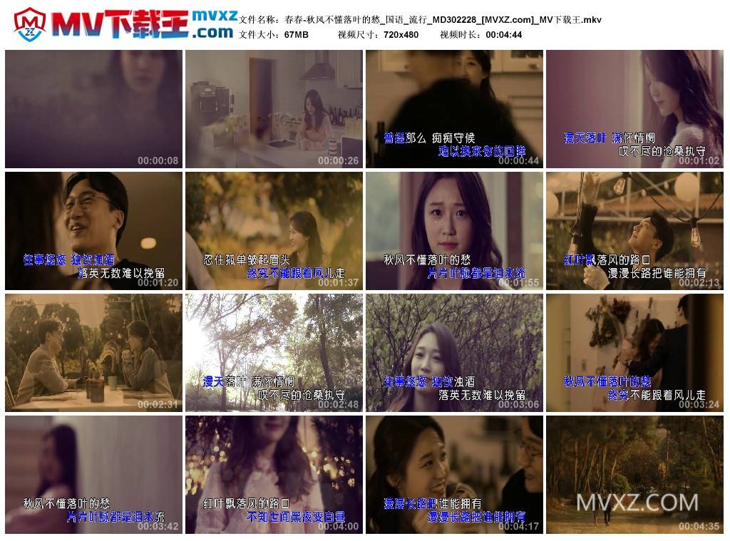 春春-秋风不懂落叶的愁_国语_流行_MD302228